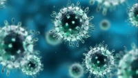 Рекомендации для населения по профилактике коронавирусной инфекции